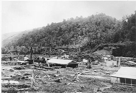 Bartholomew's sawmill, Makahika Valley, 1906