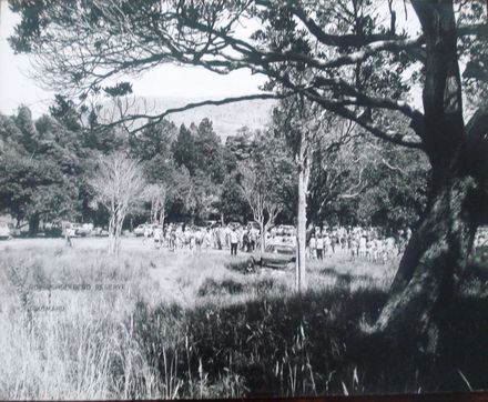 Horseshoe Bend Reserve, Tokomaru