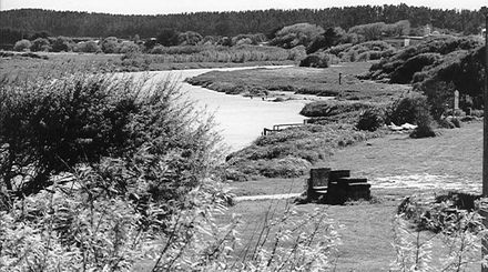 Manwatu River at Foxton