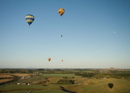 6647 - Resource cover image