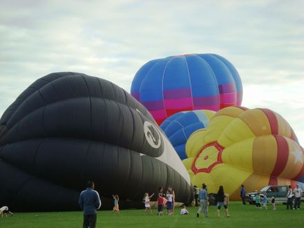 2011 Balloons - Friday afternoon 4 balloons inflating at Donnelly Park Levin - Resource cover image