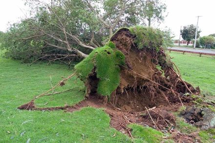 Liverpool St - Old Hospital Grounds
