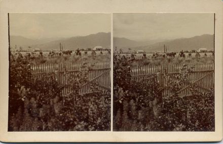 Shannon Recreation Ground (Domain), view from Hallam's house, 1903