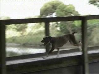 Summer Holiday - Resource cover image