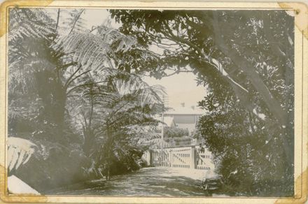 Denton Family House, driveway