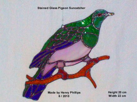 Kereru Wood Pigeon - Resource cover image