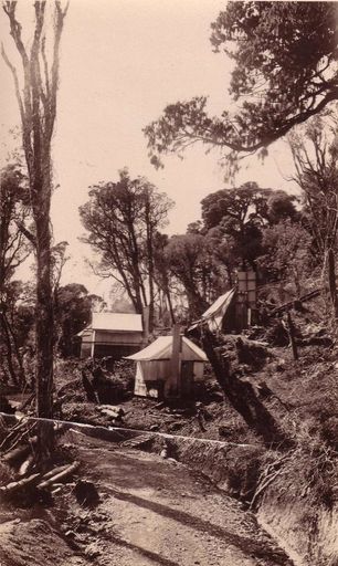 Top camp staff quarters and road to Mangahao, 21 March 1921 - Resource cover image