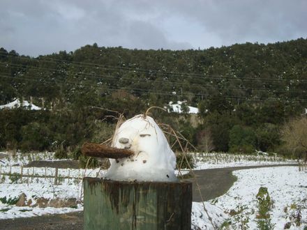 Snow creation - on fencepost at Gladstone Reserve, Levin - Resource cover image