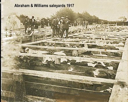 Abraham & Williams Levin sale yard