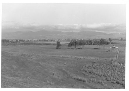 West of Lake Horowhenua, 1970