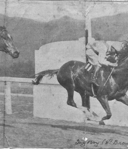 Racehorse 'Gay Boy' Winning at Trentham, 1936