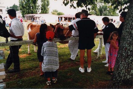 Horowhenua A P& I Show, 2002