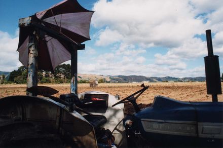 Tractor in Onion Fields in Shannon