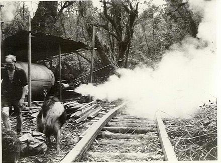Corrigan's Mill, Waitatapia Stream