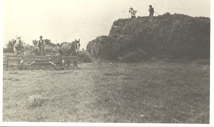 Haymaking at Manakau - haystack and horse drawn hay drag