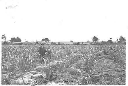 Don Ogivie & John Gascoine