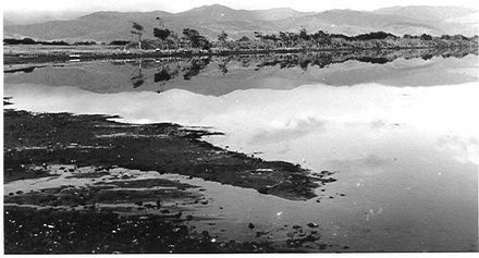 Northern end of Lake Horowhenua