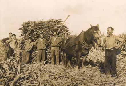 Sutton can farm, Murwoolenbar, NSW. Australia. - Resource cover image