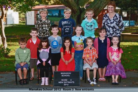 Manakau School  2012   Room 3  New entrants - Resource cover image