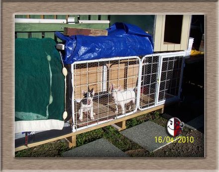 Bullies 4 Me - Resource cover image