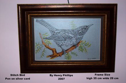 Stitchbird, pen on silver card - Resource cover image