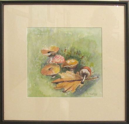 Mushrooms by Marlene MacCartney Watercolour $130 - Resource cover image