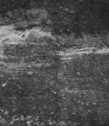 Fault-line in Gravel Cliff, 4/5/53