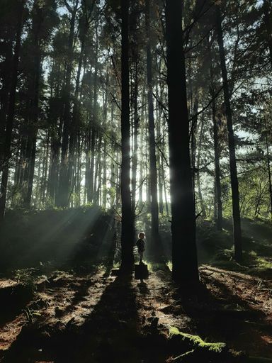 At Waitātrere Forest 2 - #CaptureYourHorowhenua