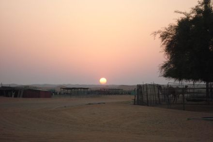 Sunset in the Dessert, Dubai