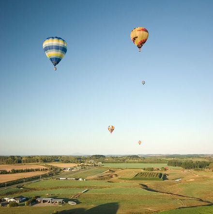 In Flight - Photo by Trevor Heath - Resource cover image