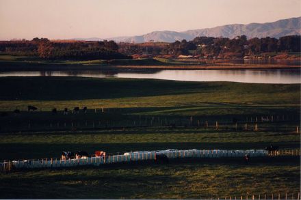 Matthew Stickle's Farm and Lake Horowhenua