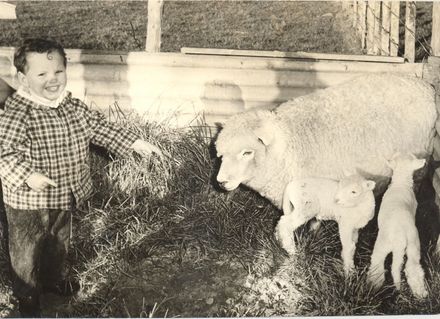 Jonathon Blenkhorn & twin lambs, 1969 - Resource cover image