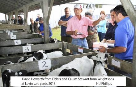 David Howarth and Calum Stewart at Levin sale yards 2012 - Resource cover image