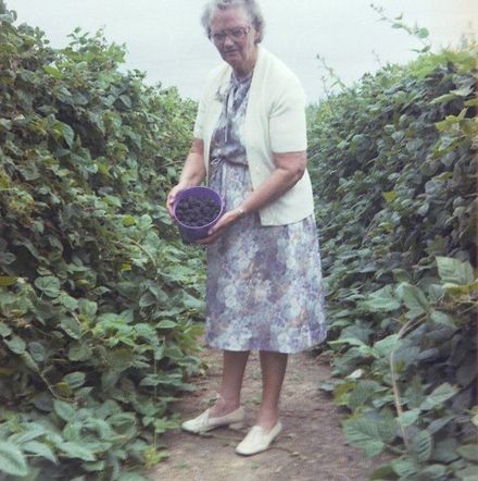 Kingsbury Collection. October 1980 to February 1981 - Hastings and levin. - Resource cover image