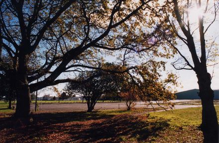 Levin School Grounds