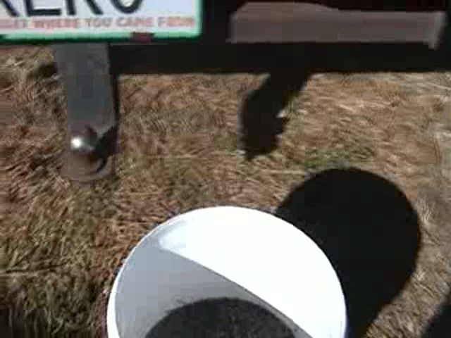 32 lb Whitebait Shoal! - Resource cover image