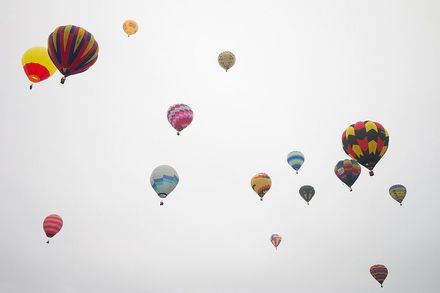 In Flight - Photo by Trevor Heath