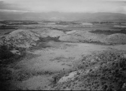 Sand Dune Belt to the West of Lake Horowhenua