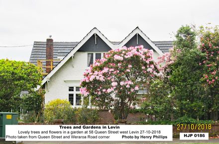 HJP 0186 Lovely trees and flowers in a garden at 58 Queen Street west Levin 27-10-2018 - Resource cover image
