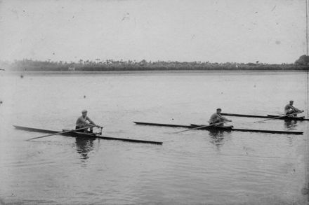 Sculling on Manawatu River