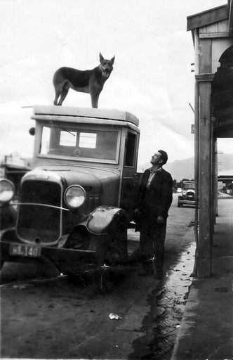 Stan Graham (?) standing by truck with dog (Alsatian ?) standing on roof, 1934