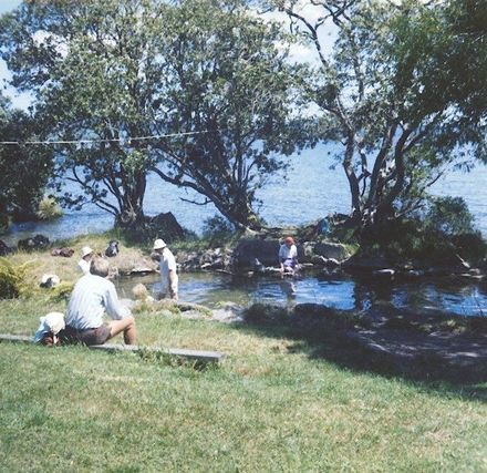 Kingsbury Collection - November 1981 - Taupo etc. - Resource cover image