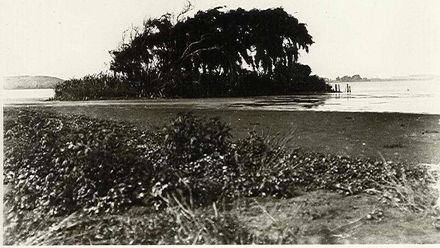 Waipata artificial island, Lake Horowhenua
