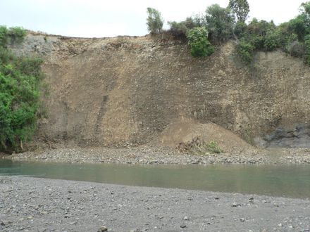 Gladstone reserve, Gladstone Rd.