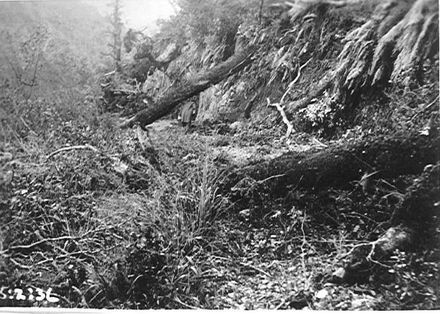 Storm damage, Mangahao access road, 1936