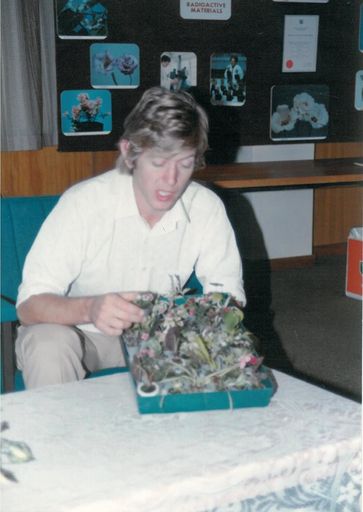 Mini pot plants developed by Horticulture Research Levin