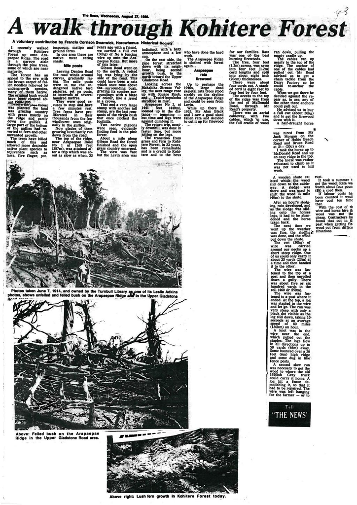 A Walk Through Kohitere Forest - Resource cover image