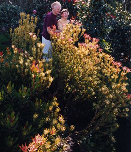 Paiaka Iris Gardens