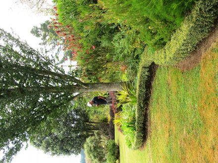Garden 3 Border on east of lawn - Resource cover image