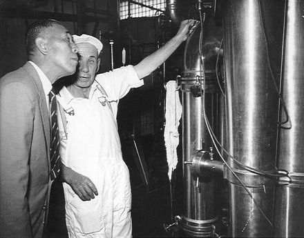 Tour of Dairy Factory, Levin